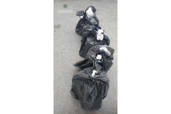 У водія-порушника знайшли 134 кг бурштину на Рівненщині