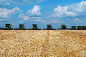 Третина сільгоспземель в Україні знаходиться у агрохолдингів