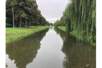 Як виглядають канали в луцькому парку після очистки (Фото)