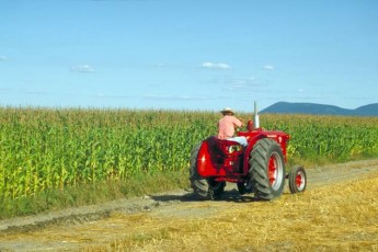 Йдемо на історичний рекорд: аграрії вразили врожаєм кукурудзи