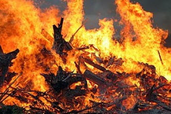 Через спалювання сухостою на Волині згорів будинок