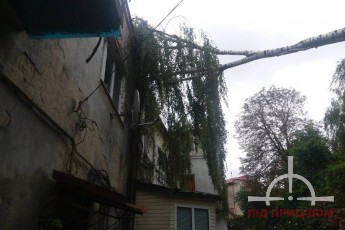 У Луцьку зламане вітром дерево проломило дах у житловому будинку (фото)