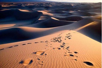 Найбільша пустеля світу захоплює нові землі