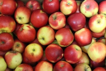 Чому потрібно їсти яблука щодня
