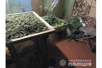 Чоловік виростив урожай марихуани на мільйони гривень (фото)