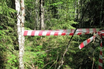 Зниклу 15-річну дівчину знайшли мертвою у лісосмузі на Харківщині