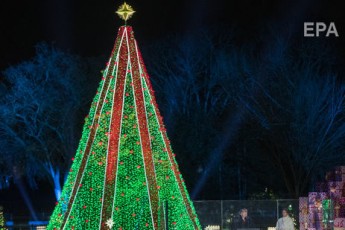 У США чоловік видерся на Різдвяну ялинку перед Білим домом
