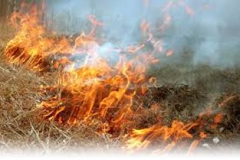 На Волині, через підпал сухої трави, загорілись дачні будинки (відео)