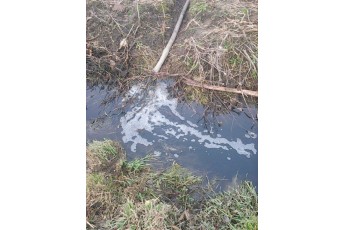 У селі неподалік Луцька не працює нова каналізаційна станція, нечистоти течуть у річку (фото, відео)