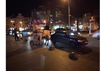 П'яний керманич карети з кіньми врізався в автомобіль у центрі Львова і втік