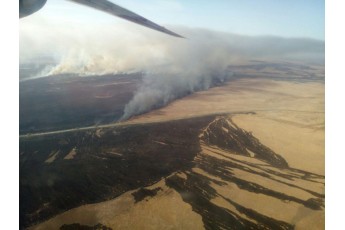 Палають гектари земель: до гасіння масштабної пожежі залучили авіацію (фото)