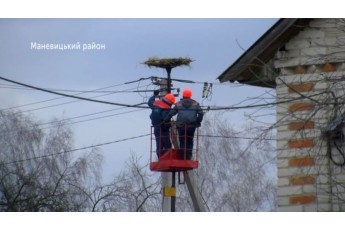 Волинські енергетики встановили безпечні гнізда для лелек (фото)