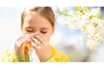 Українців попереджають про спалах алергії