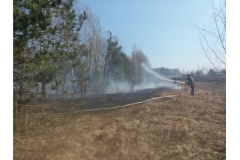 Волиняни не чують пожежників: за добу ліквідували 19 загорань сухої трави