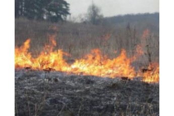 Жертви спалювання сухої трави: подружжя згоріло живцем на Житомирщині
