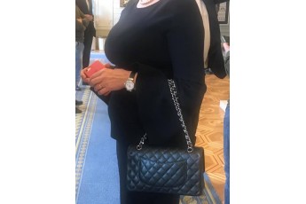 Нардеп з фракції Порошенка вигуляла сумку за 4 тисячі євро (фото)