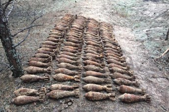 На Волині знайшли 121 артилерійську міну (фото)