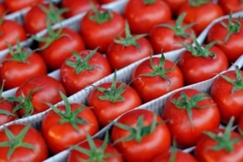 До України завезли заражені томати