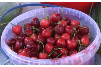 Скільки у Луцьку коштують полуниця та черешня і коли подешевшають літні ягоди і фрукти