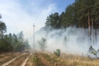 На Волині масштабна пожежа – горить ліс (фото)