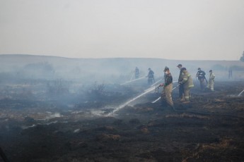 Масштабна пожежа на Волині: горіло більше 10 гекталів торфовищ (відео)
