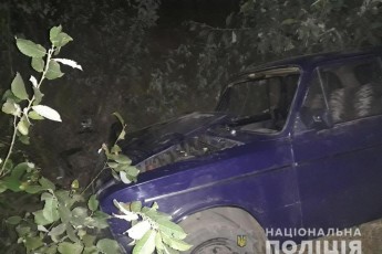 На Волині п'яний хлопець на ВАЗ влетів у дерево, є постраждалі