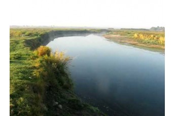 На березі річки Стир знайшли тіло жінки (фото 18+)