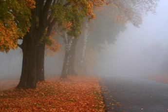 Пішли перші осінні тумани: синоптик поділилась прогнозом погоди на останню неділю вересня