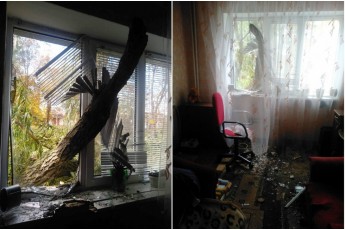 Нещадний буревій пронісся Волинню: дерево впало на гуртожиток (фото)
