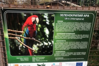 У Луцьку із зоопарку невідомі викрали папуг