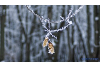 Погода на вихідні: в Україні буде холодно, на заході пройде сніг