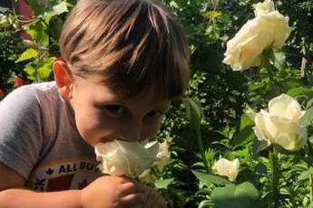 Багато квітів, сліз та тільки найрідніші: поховали 3-річного хлопчика, якого застрелили в Києві (відео)
