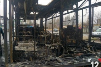 Поліція повідомила деталі пожежі у Луцьку, в якій було повністю знищено 4 автобуси (фото)