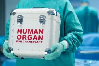 В Україні офіційно встановлено ціни на пересадку органів