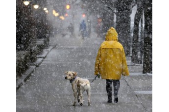 Дощі, мокрий сніг та ожеледиця: погода в Україні на вихідні