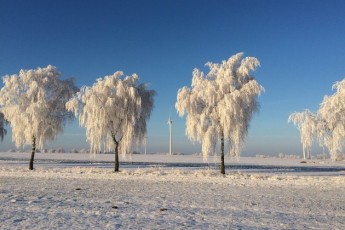 2 лютого, яке сьогодні свято: традиції, заборони і прикмети