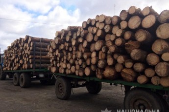 На Волині незаконно перевозили деревину