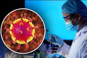 Вчені виявили збудник коронавірусу