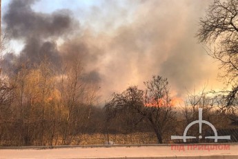 У Луцьку – масштабна пожежа: горить заповідник, вогонь підбирається до будинків (фото)
