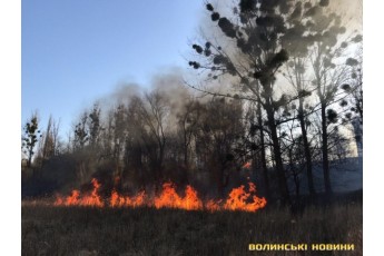 Вогонь швидко розповсюджується: у Луцьку – пожежа (фото, відео)