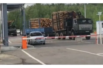 Спишуть все на пожежі?: із Чорнобильської зони масово вивозять ліс-кругляк (відео)