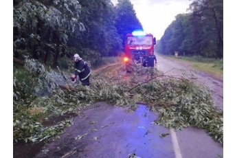 Дощі та вітер залишили Волинь без світла: рятувальники ліквідують наслідки негоди