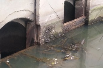 У Луцьку вандали пошкодили гідроспоруду, що спричинило різке зниження рівня води (фото)