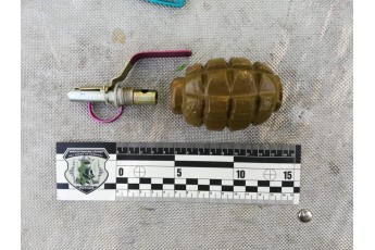 На Волині знайшли схованку з гранатами та набоями (фото)