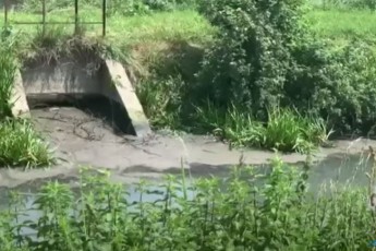 У селі біля Луцька в річці Стир вимерла риба (відео)