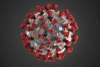 Вчені заявили про зникнення коронавірусу