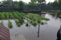 Волинян вчергове попереджають про ймовірне затоплення присадибних ділянок