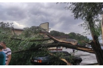 Повалив дерева та позривав дахи: у місті на Волині пронісся буревій (фото, відео)