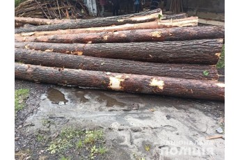 На Волині у подвір'ї приватного підприємця знайшли крадений ліс (фото)
