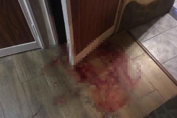 Господаря побили молотком: повідомили деталі кривавого пограбування квартири у Луцьку